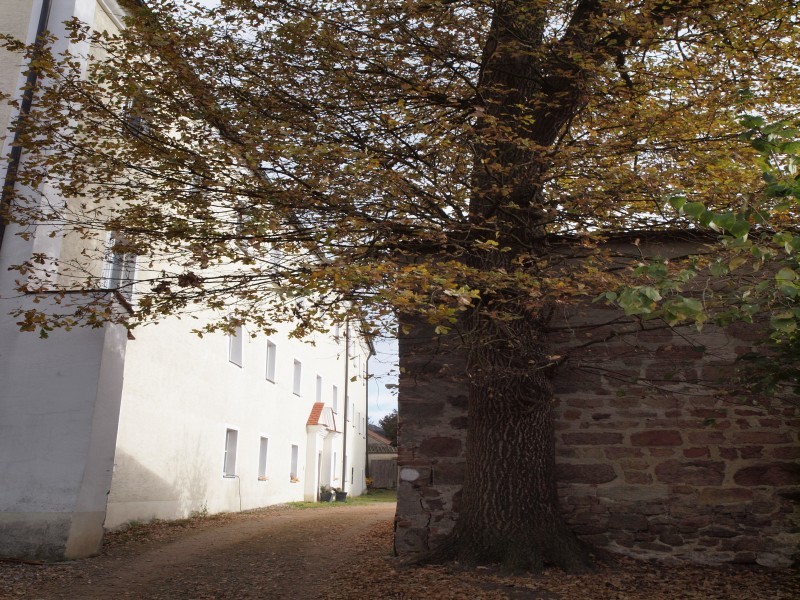 Schloss Altendorf