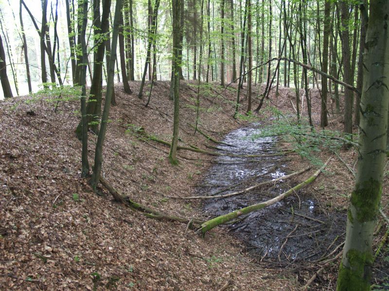 Wstung Rderburg