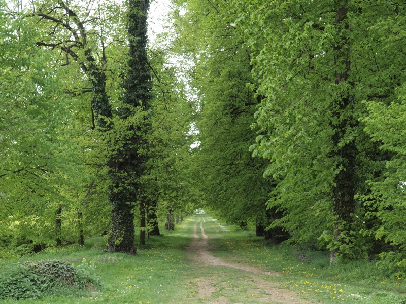 Rittergut Lucklum
