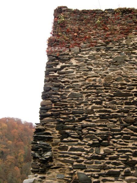 Ruine Altwied